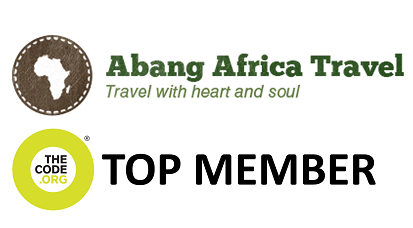 Logos of Abang Africa and The Code